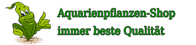 aquarienpflanzen-shop.business Startseite 