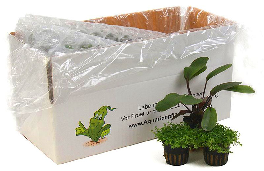 Versandkarton für Aquarienpflanzen