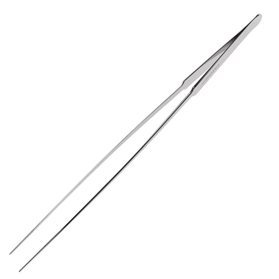 Pflanzpinzette XL 45 cm Edelstahl von Dennerle