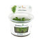 Indische Rotala - Rotala indica InVitro Laborpflanze