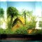 Nano-Landschaft - Bamboo Cube von Dennerle für 30 l NanoCube