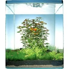 Nano-Landschaft - für Dennerle 20 l NanoCube