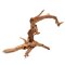 Aquarienwurzel Spiderwood 20-30 cm zum Aufbinden von Moosen