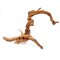 Aquarienwurzel Spiderwood 20-30 cm zum Aufbinden von Moosen