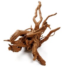 Aquarienwurzel Spiderwood 40-50 cm entrindet für...