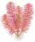 Limnophila hippuridoides - Tannenwedelähnlicher Sumpffreund InVitro