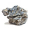 Mini-Landschaft Seiryu Ryuoh 0,8-1,2 kg - Aquariensteine