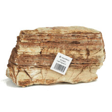 Helle Pagode Aquariensteine  - Canyons im Aquarium
