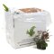 Pflanzenbox M - 10 Töpfe ausgesucht schöne Aquarienpflanzen