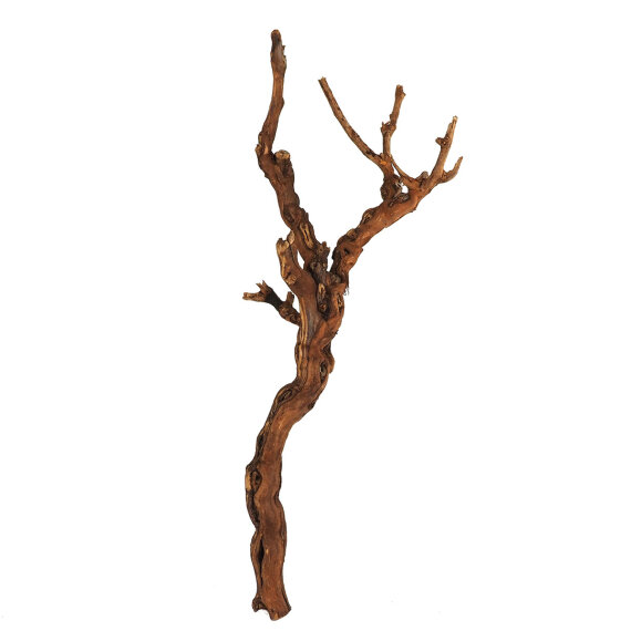 Weinstock M 40-70 cm natur - Aquarien, Terrarien