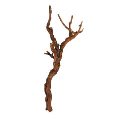 Weinstock M 40-70 cm natur - Aquarien, Terrarien