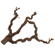 Weinstock M 40-70 cm natur - Aquarien, Terrarien