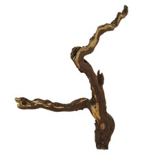 Weinstock M 40-70 cm natur - Aquarien, Terrarien