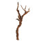 Weinstock M 40-70 cm natur - Aquarien, Terrarien