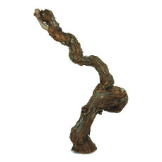 Weinstock S 20-39 cm natur - Aquarien, Terrarien