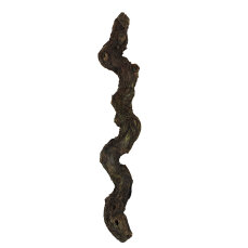 Weinstock S 20-39 cm natur - Aquarien, Terrarien