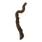 Weinstock S 20-39 cm natur - Aquarien, Terrarien