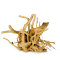 Rote Moorwurzel 0,8-1,2kg, Aquascaping Wurzel