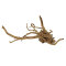 Rote Moorwurzel 0,8-1,2kg, Aquascaping Wurzel