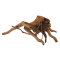 Rote Moorwurzel 0,8-1,2kg, Aquascaping Wurzel