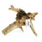 Black Slim Wood, Aquarienwurzel S 15-25 cm