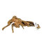 Black Slim Wood, Aquarienwurzel S 15-25 cm