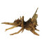 Black Slim Wood, Aquarienwurzel M 28-42 cm