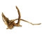 Black Slim Wood, Aquarienwurzel M 28-42 cm
