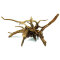Black Slim Wood, Aquarienwurzel L 45-60 cm