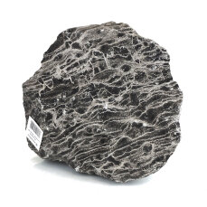 Leopardenstein - Sedimentgestein 2,3-2,7 kg, Aquariensteine
