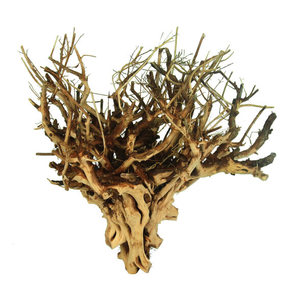 Etosha-Tree, besondere Aquarienwurzel10 - 15 cm