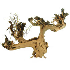 Etosha-Tree, besondere Aquarienwurzel10 - 15 cm