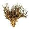 Etosha-Tree, besondere Aquarienwurzel10 - 15 cm