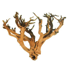 Etosha-Tree, besondere Aquarienwurzel 15 - 25 cm