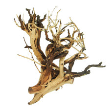 Etosha-Tree, besondere Aquarienwurzel 15 - 25 cm