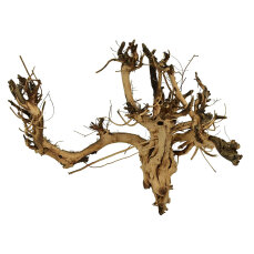 Etosha-Tree, besondere Aquarienwurzel 15 - 25 cm