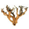 Etosha-Tree, besondere Aquarienwurzel 15 - 25 cm