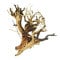 Etosha-Tree, besondere Aquarienwurzel 15 - 25 cm