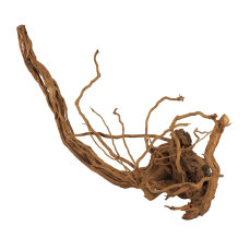 Aquadeco Curl Wood - Einzigartige Optik M, 60-80 cm, Aquariumwurzel