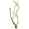 Aquadeco Curl Wood - Einzigartige Optik M, 60-80 cm, Aquariumwurzel
