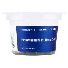 Micranthemum tweediei InVitro (Monte Carlo)
