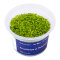 Micranthemum tweediei InVitro (Monte Carlo)