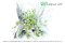 Micranthemum tweediei InVitro (Monte Carlo)