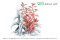 Alternanthera reineckii Rosanervig InVitro