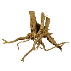 Finger-Wurzel für Aquarien, Small 20 - 30cm