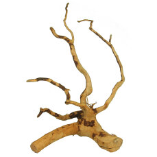Finger-Wurzel für Aquarien, Small 20 - 30cm