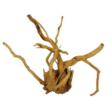 Finger-Wurzel für Aquarien, Small 20 - 30cm
