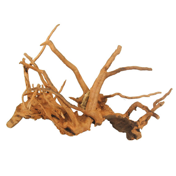 Finger-Wurzel für Aquarien, Medium 30 - 40cm