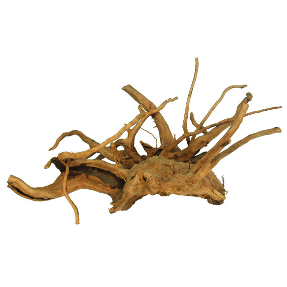Finger-Wurzel für Aquarien, Large 40 - 60cm