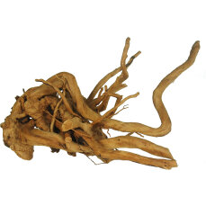 Finger-Wurzel für Aquarien, Large 40 - 60cm